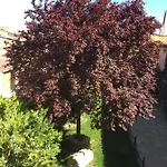 Casa Del Agueelo * Cella