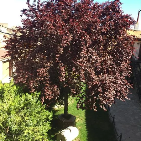 Casa Del Agueelo * Cella