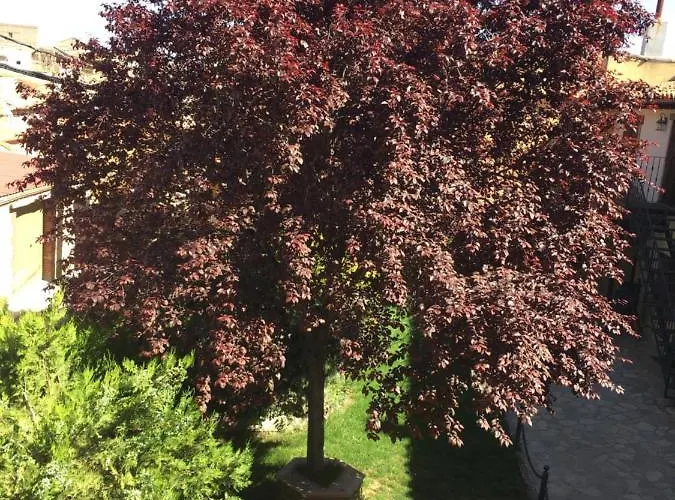 Casa Del Agueelo * Cella